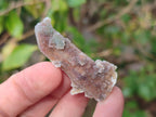 Natural Hematoid Tinted Fairy Spirit Quartz Single Crystals x 70 From Boekenhouthoek, South Africa - Toprock Gemstones and Minerals 