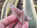 Natural Hematoid Tinted Fairy Spirit Quartz Single Crystals x 70 From Boekenhouthoek, South Africa - Toprock Gemstones and Minerals 