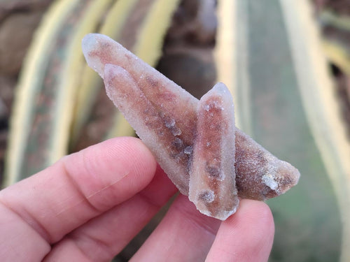 Natural Hematoid Tinted Fairy Spirit Quartz Single Crystals x 70 From Boekenhouthoek, South Africa - Toprock Gemstones and Minerals 