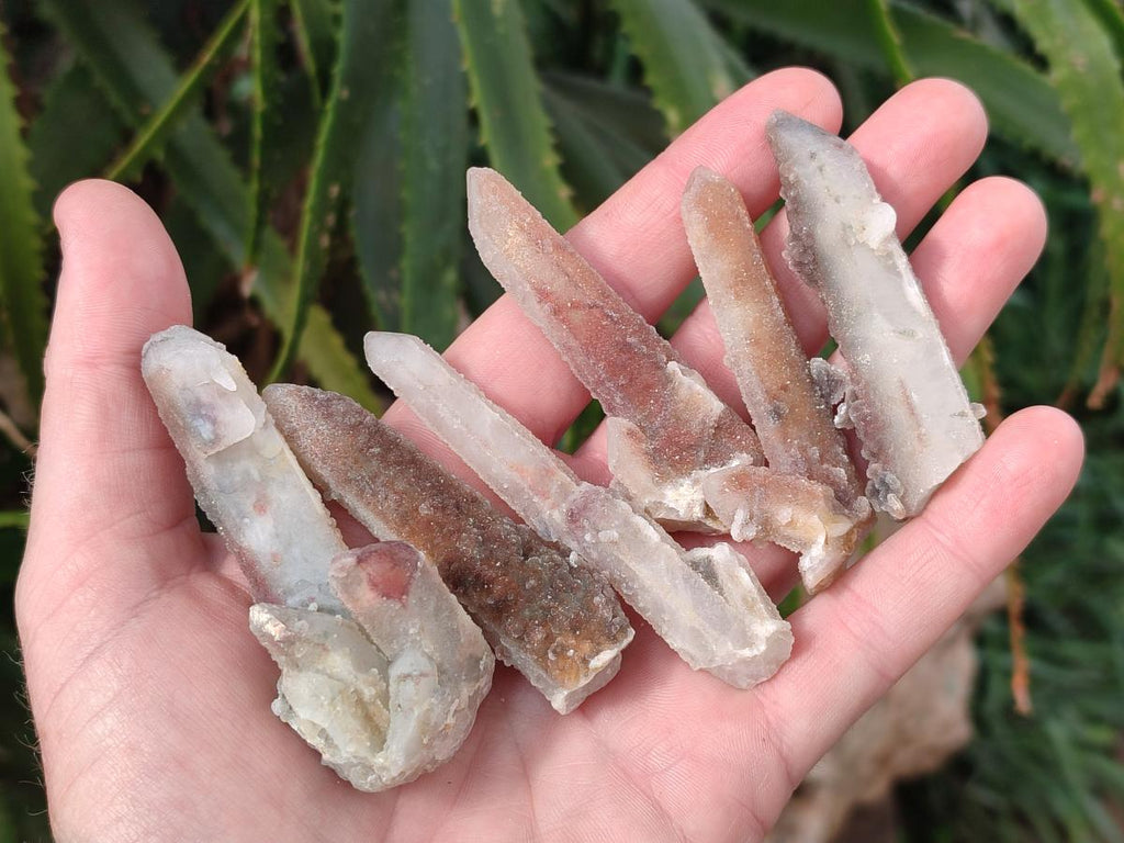 Natural Hematoid Tinted Fairy Spirit Quartz Single Crystals x 70 From Boekenhouthoek, South Africa - Toprock Gemstones and Minerals 