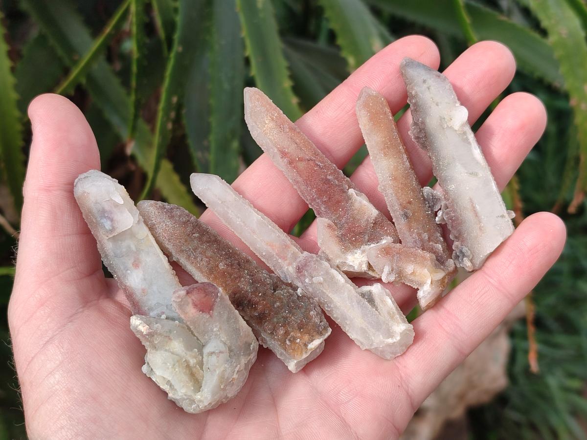 Natural Hematoid Tinted Fairy Spirit Quartz Single Crystals x 70 From Boekenhouthoek, South Africa - Toprock Gemstones and Minerals 