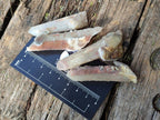Natural Hematoid Tinted Fairy Spirit Quartz Single Crystals x 70 From Boekenhouthoek, South Africa - Toprock Gemstones and Minerals 