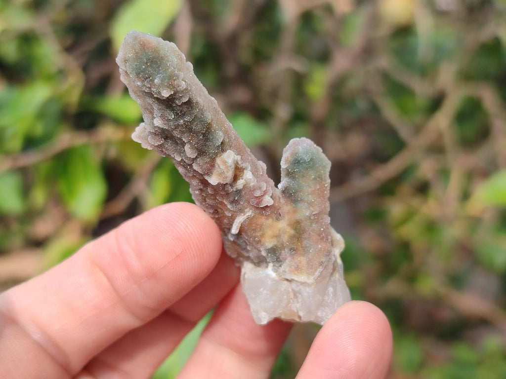 Natural Hematoid Tinted Fairy Spirit Quartz Single Crystals x 70 From Boekenhouthoek, South Africa - Toprock Gemstones and Minerals 