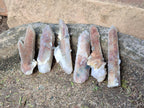 Natural Hematoid Tinted Fairy Spirit Quartz Single Crystals x 70 From Boekenhouthoek, South Africa - Toprock Gemstones and Minerals 