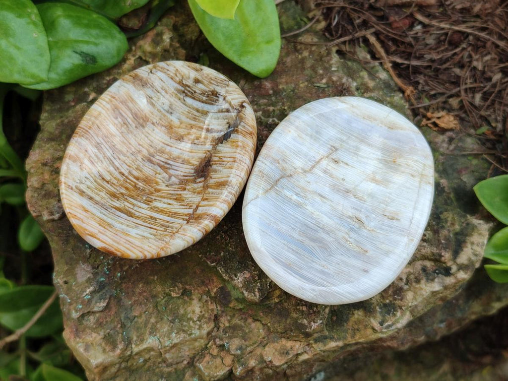 Polished Zebra Agate Worry Stones x 25 From Madagascar