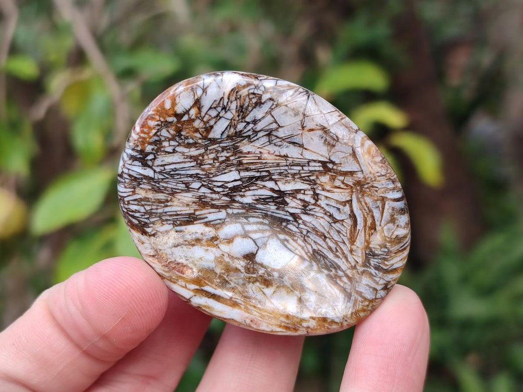 Polished Zebra Agate Worry Stones x 25 From Madagascar