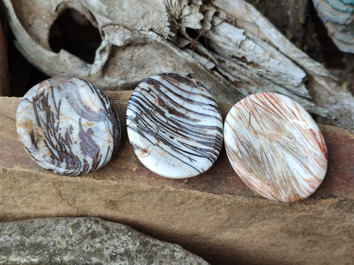 Polished Zebra Agate Worry Stones x 25 From Madagascar