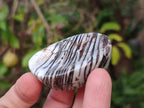 Polished Zebra Agate Worry Stones x 25 From Madagascar