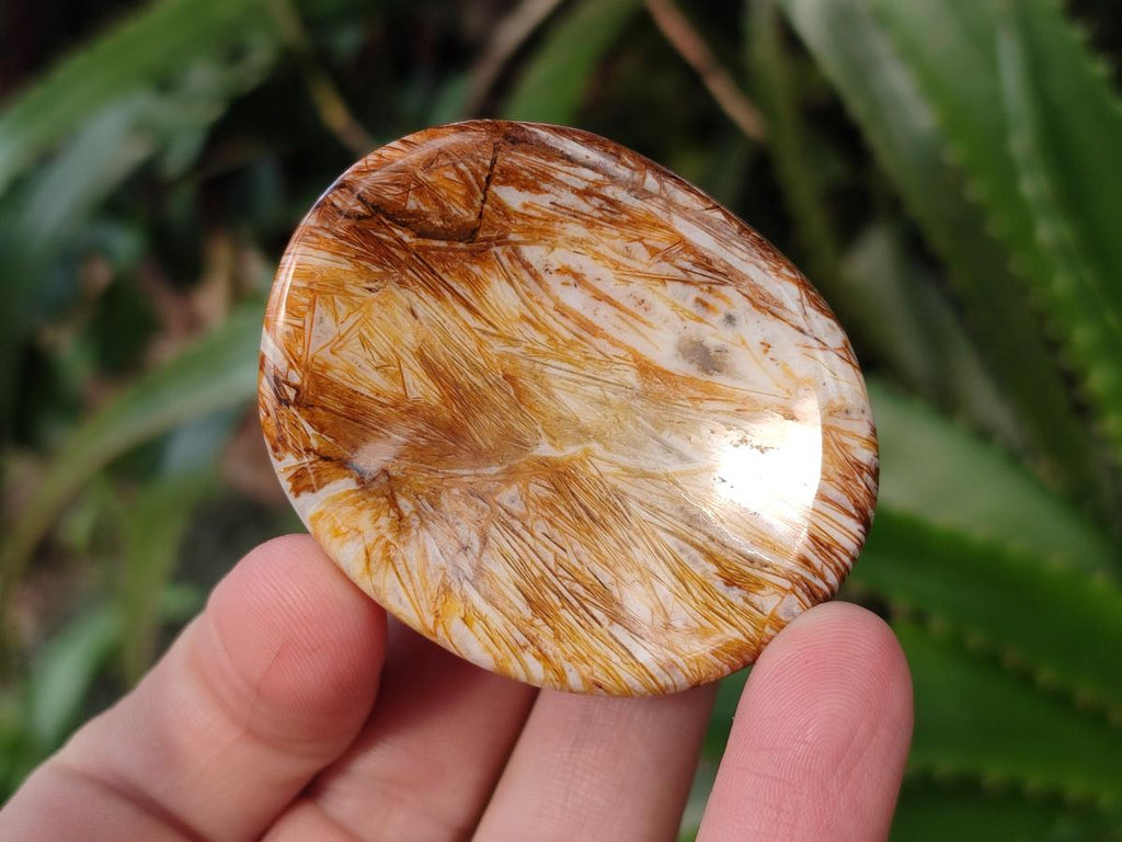 Polished Zebra Agate Worry Stones x 25 From Madagascar