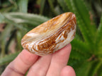 Polished Zebra Agate Worry Stones x 25 From Madagascar