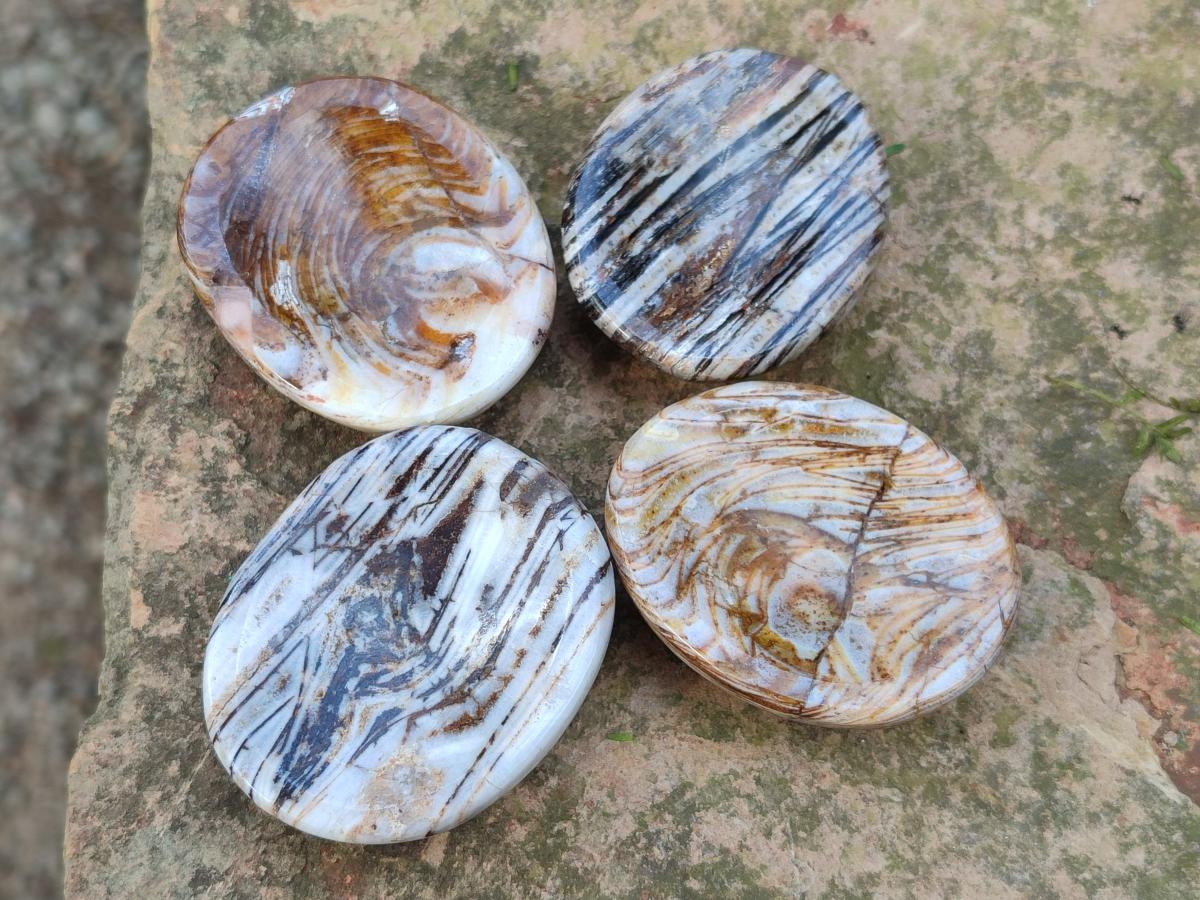 Polished Zebra Agate Worry Stones x 25 From Madagascar