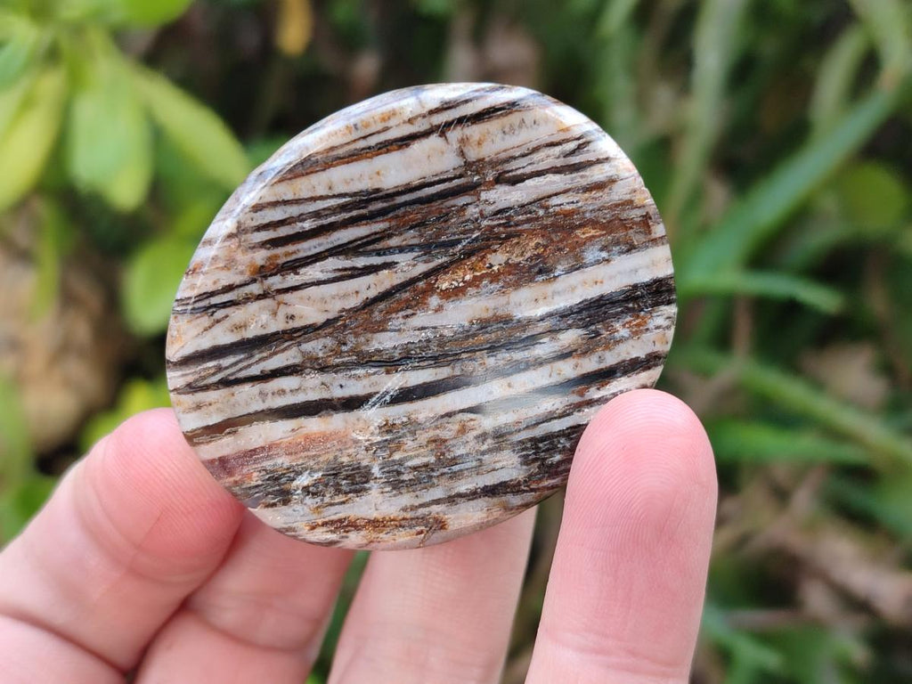 Polished Zebra Agate Worry Stones x 25 From Madagascar