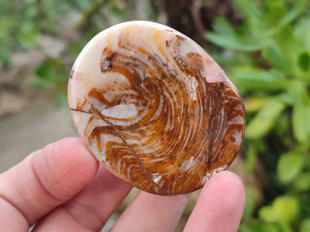 Polished Zebra Agate Worry Stones x 25 From Madagascar