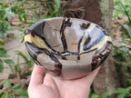 Polished Septerye Bowls x 2 From Mahajanga, Madagascar
