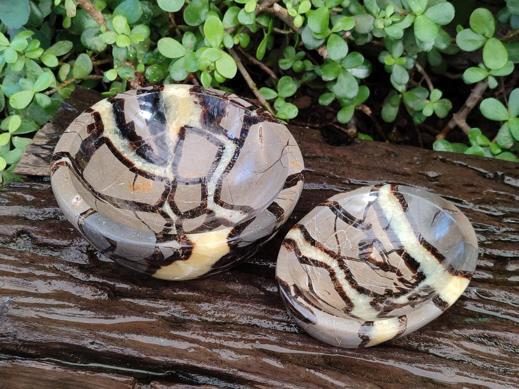 Polished Septerye Bowls x 2 From Mahajanga, Madagascar