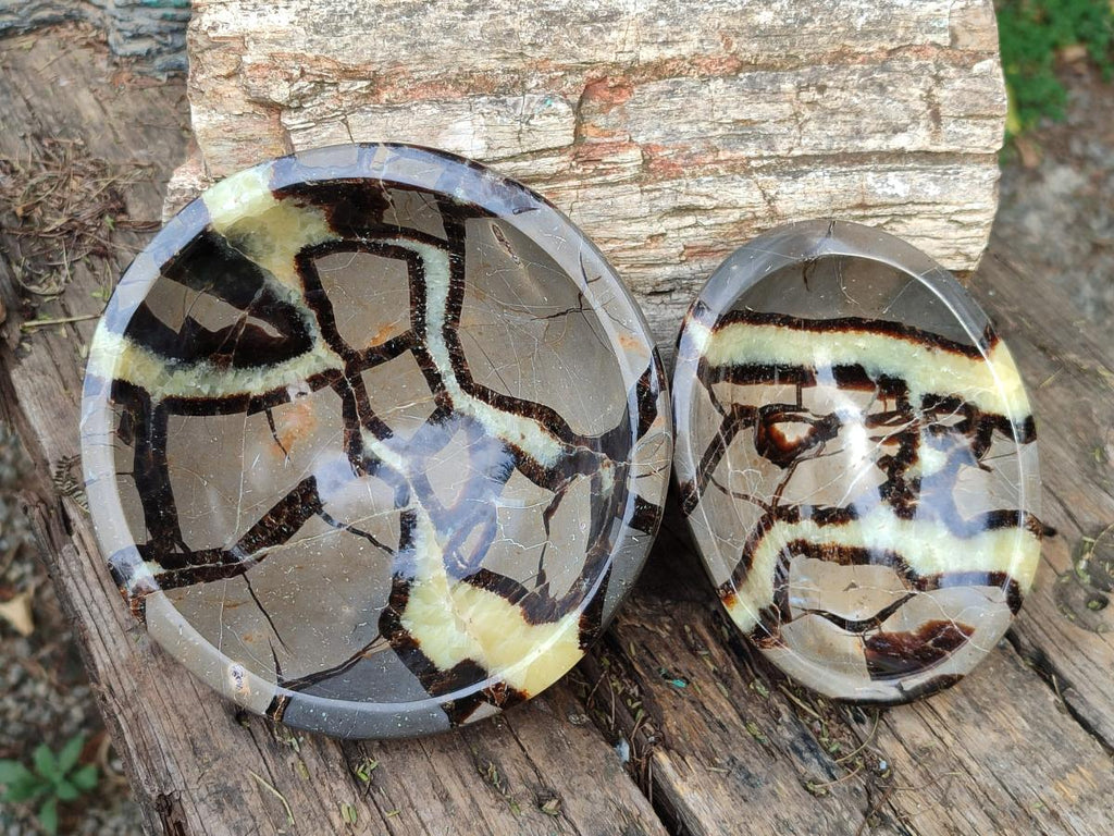 Polished Septerye Bowls x 2 From Mahajanga, Madagascar