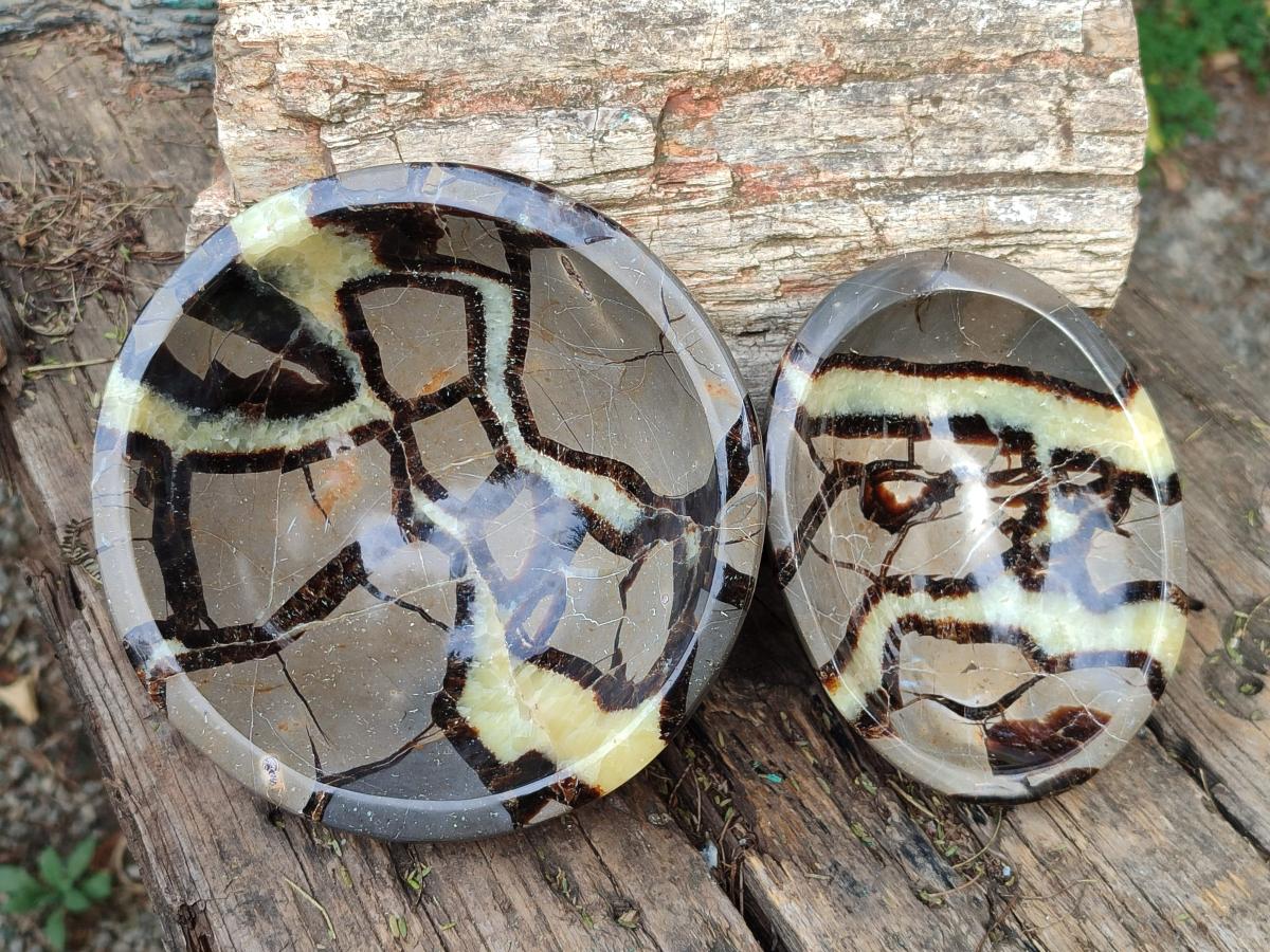Polished Septerye Bowls x 2 From Mahajanga, Madagascar