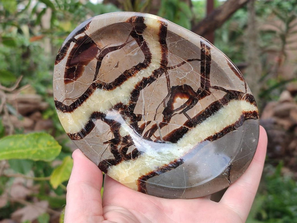 Polished Septerye Bowls x 2 From Mahajanga, Madagascar