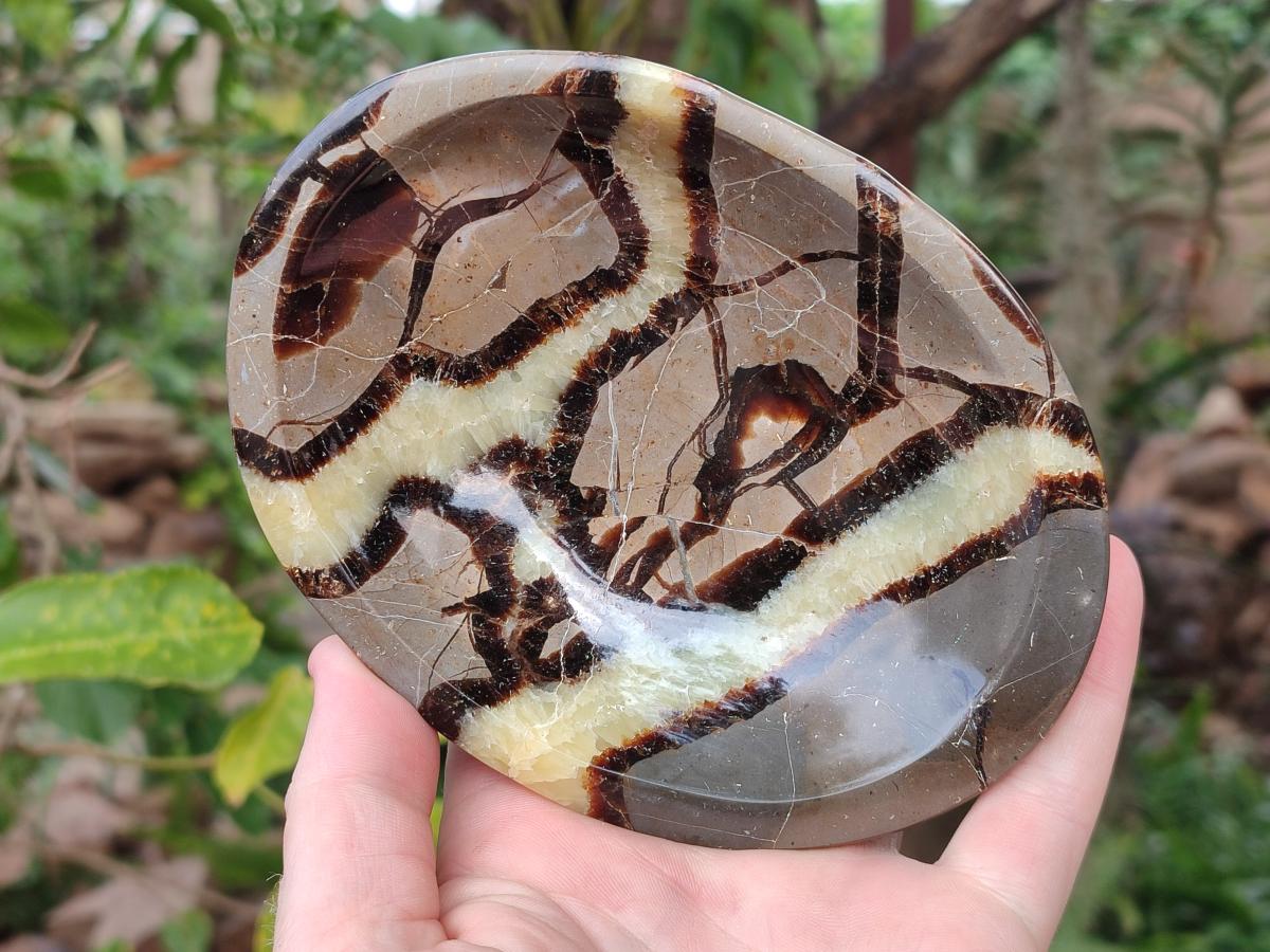 Polished Septerye Bowls x 2 From Mahajanga, Madagascar