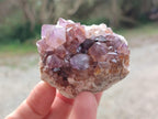 Natural Spirit Quartz and Spirit Amethyst Clusters x 26 From Boekenhouthoek, South Africa - Toprock Gemstones and Minerals 