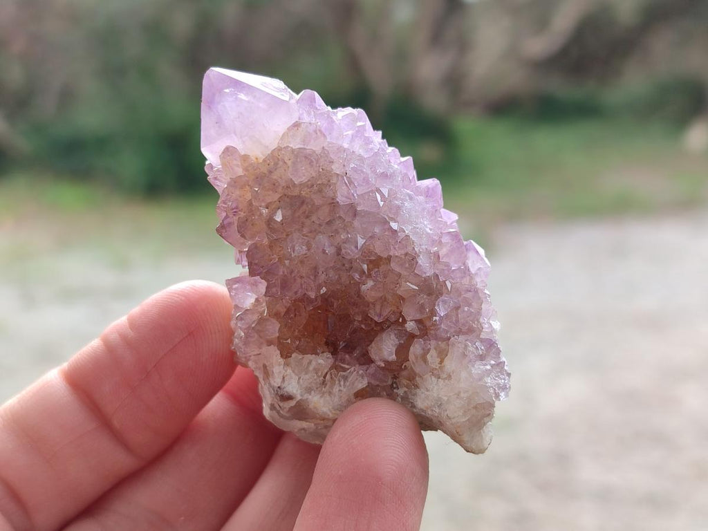 Natural Spirit Quartz and Spirit Amethyst Clusters x 26 From Boekenhouthoek, South Africa - Toprock Gemstones and Minerals 