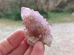 Natural Spirit Quartz and Spirit Amethyst Clusters x 26 From Boekenhouthoek, South Africa - Toprock Gemstones and Minerals 