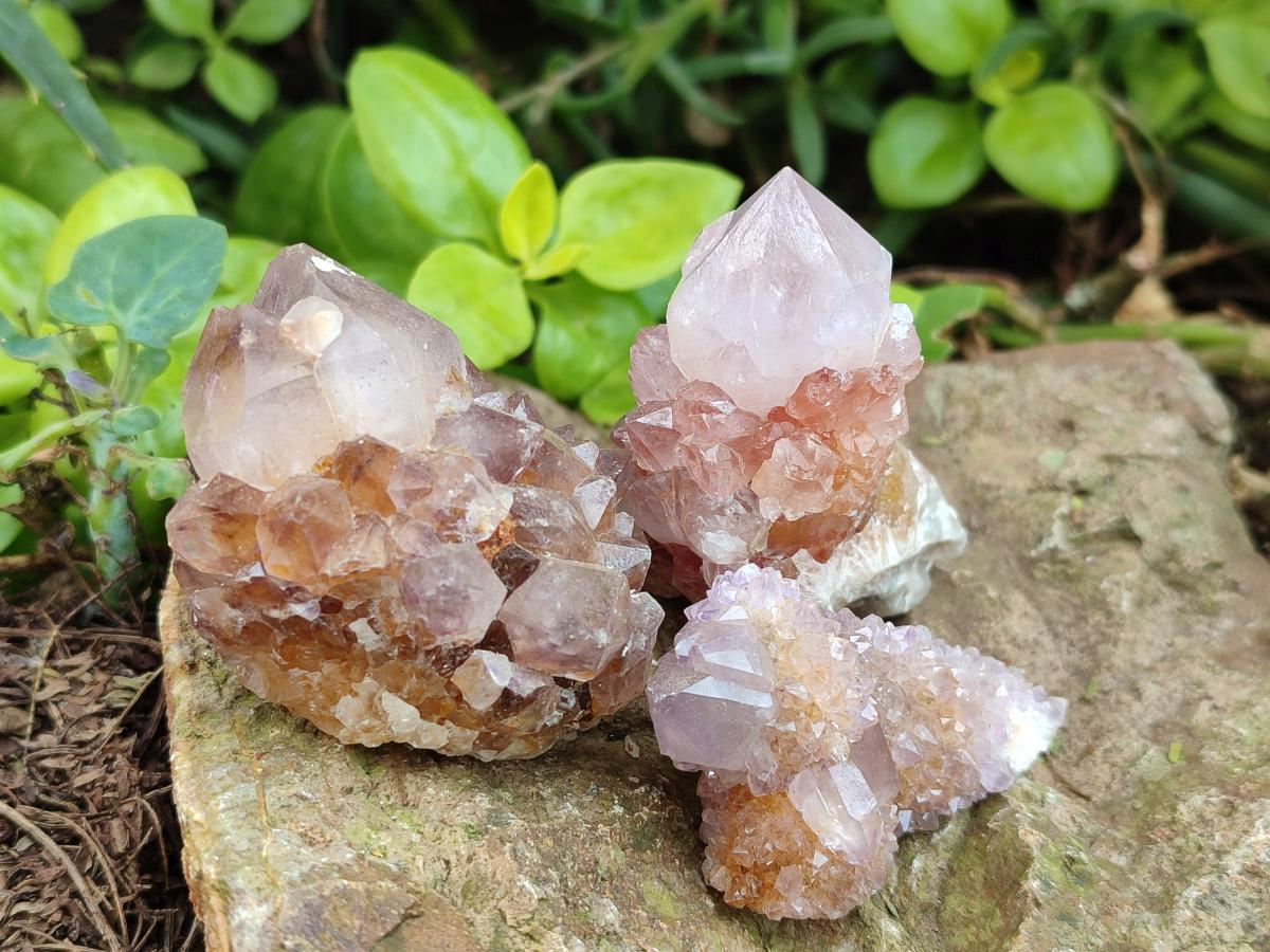 Natural Spirit Quartz and Spirit Amethyst Clusters x 26 From Boekenhouthoek, South Africa - Toprock Gemstones and Minerals 