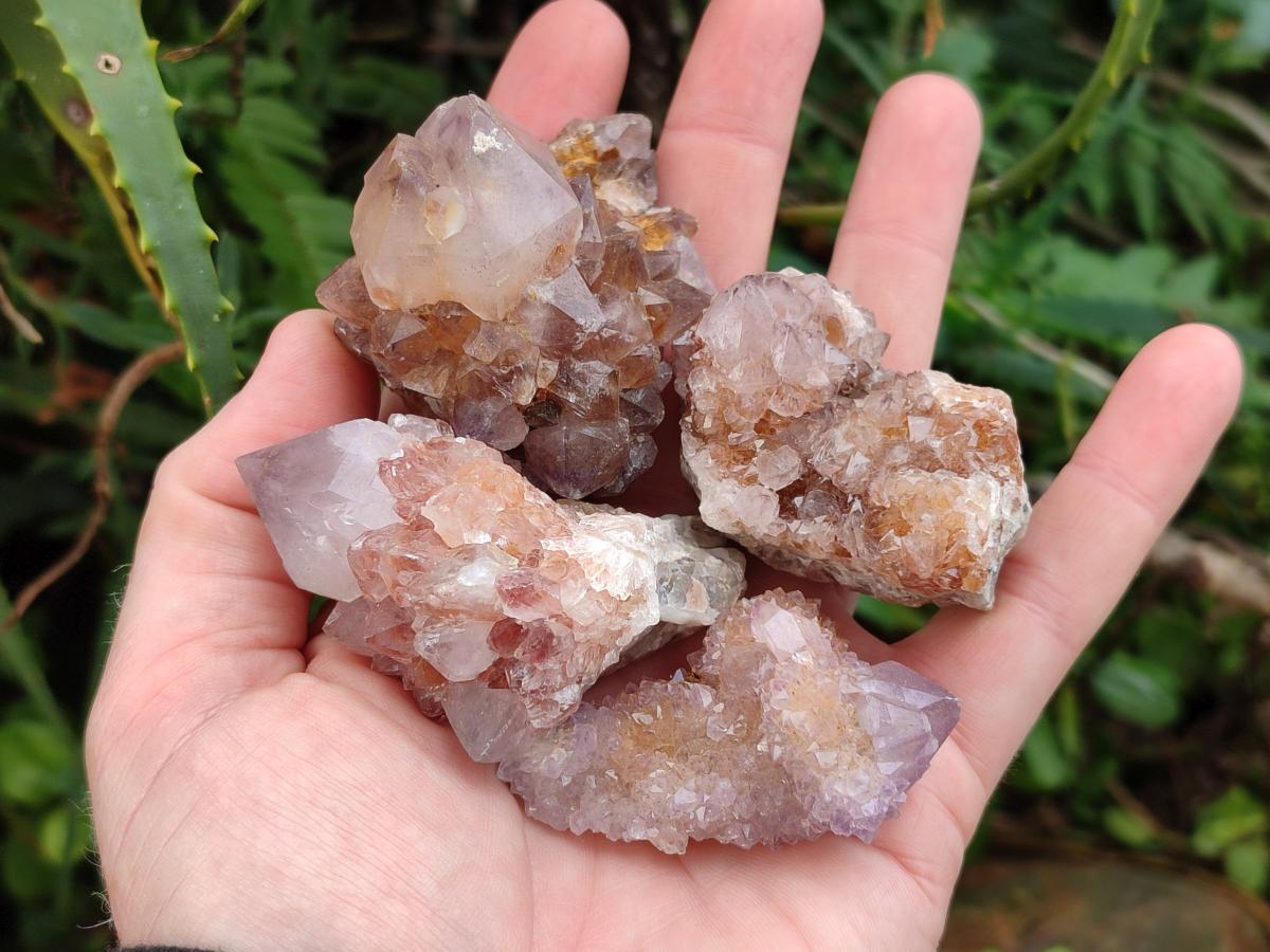 Natural Spirit Quartz and Spirit Amethyst Clusters x 26 From Boekenhouthoek, South Africa - Toprock Gemstones and Minerals 