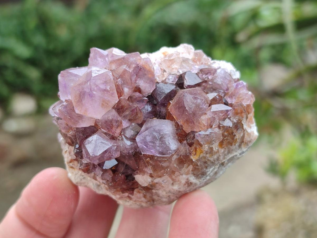 Natural Spirit Quartz and Spirit Amethyst Clusters x 26 From Boekenhouthoek, South Africa - Toprock Gemstones and Minerals 