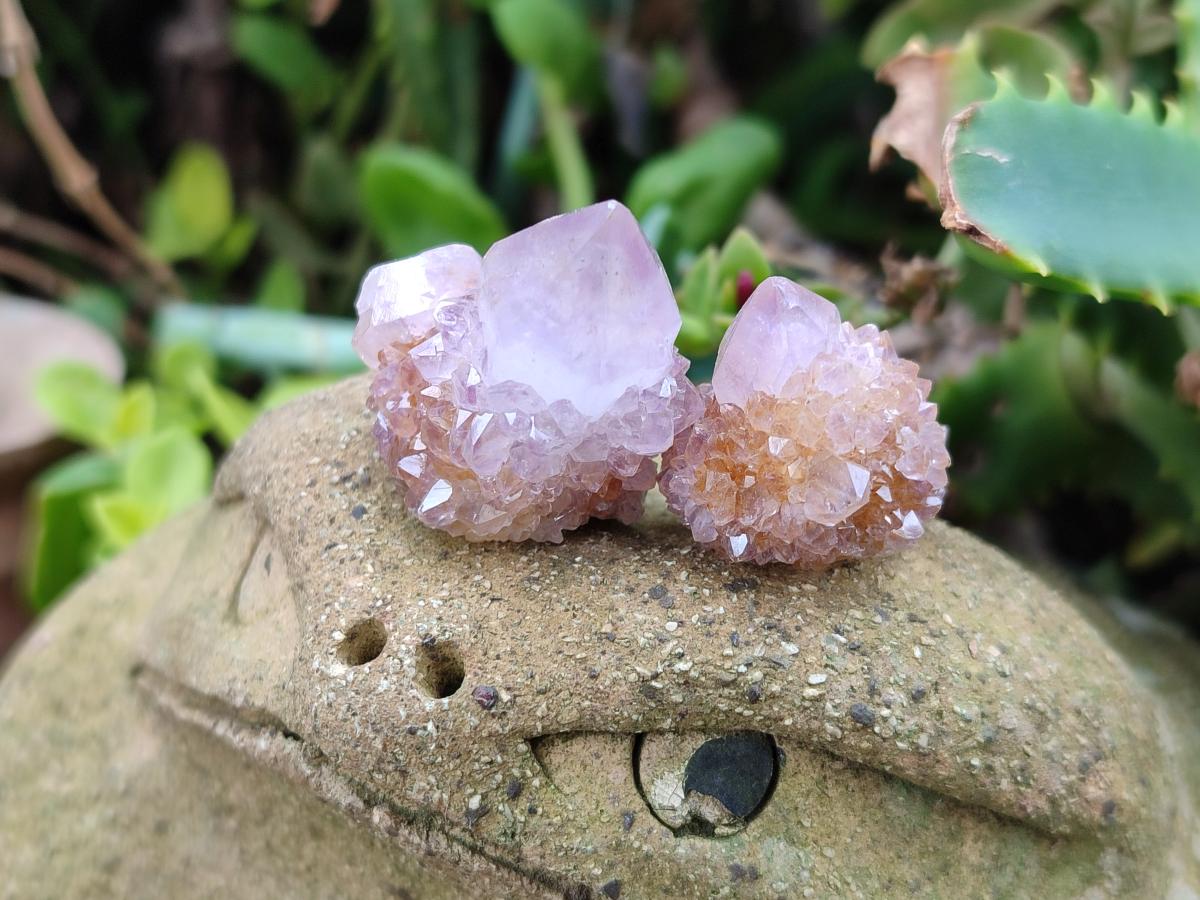 Natural Spirit Quartz and Spirit Amethyst Clusters x 26 From Boekenhouthoek, South Africa - Toprock Gemstones and Minerals 