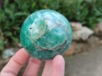 Polished Amazonite Spheres x 6 From Madagascar - Toprock Gemstones and Minerals 