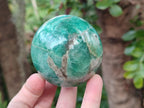 Polished Amazonite Spheres x 6 From Madagascar - Toprock Gemstones and Minerals 