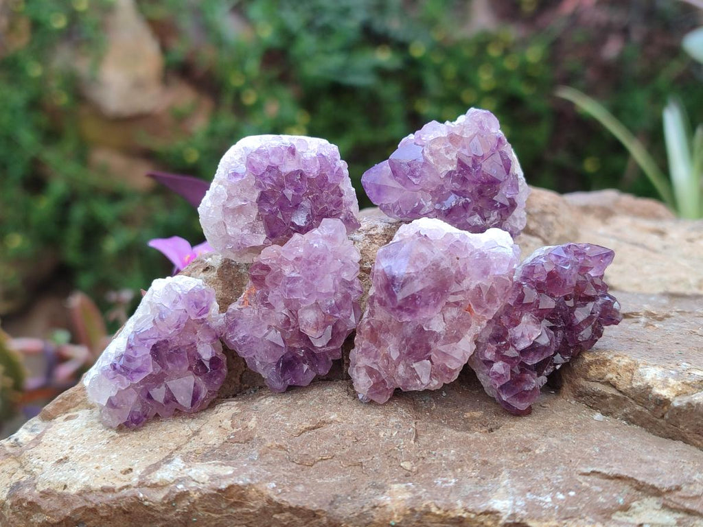 Natural Mini Amethyst Clusters x 70 From Madagascar - Toprock Gemstones and Minerals 