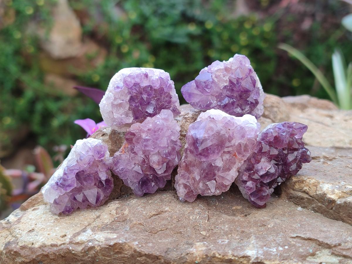 Natural Mini Amethyst Clusters x 70 From Madagascar - Toprock Gemstones and Minerals 
