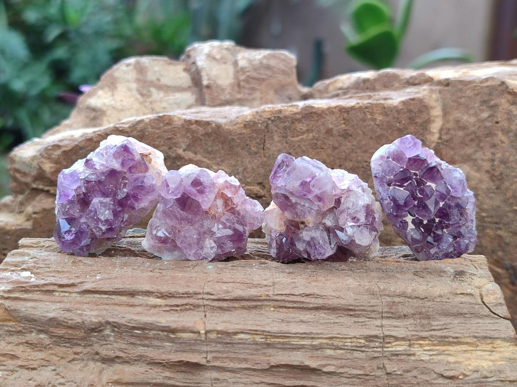 Natural Mini Amethyst Clusters x 70 From Madagascar - Toprock Gemstones and Minerals 