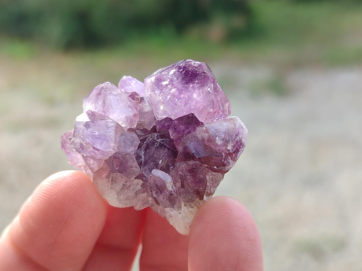 Natural Mini Amethyst Clusters x 70 From Madagascar - Toprock Gemstones and Minerals 