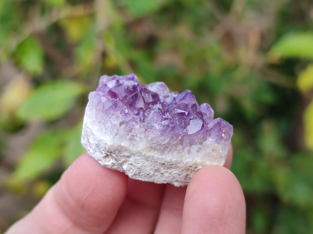 Natural Mini Amethyst Clusters x 70 From Madagascar - Toprock Gemstones and Minerals 