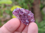 Natural Mini Amethyst Clusters x 70 From Madagascar - Toprock Gemstones and Minerals 