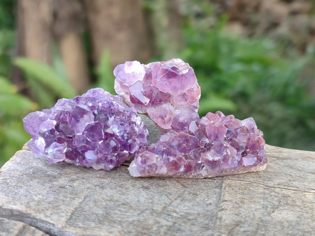 Natural Mini Amethyst Clusters x 70 From Madagascar - Toprock Gemstones and Minerals 