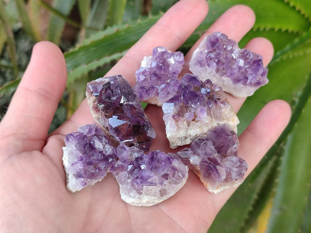 Natural Mini Amethyst Clusters x 70 From Madagascar - Toprock Gemstones and Minerals 