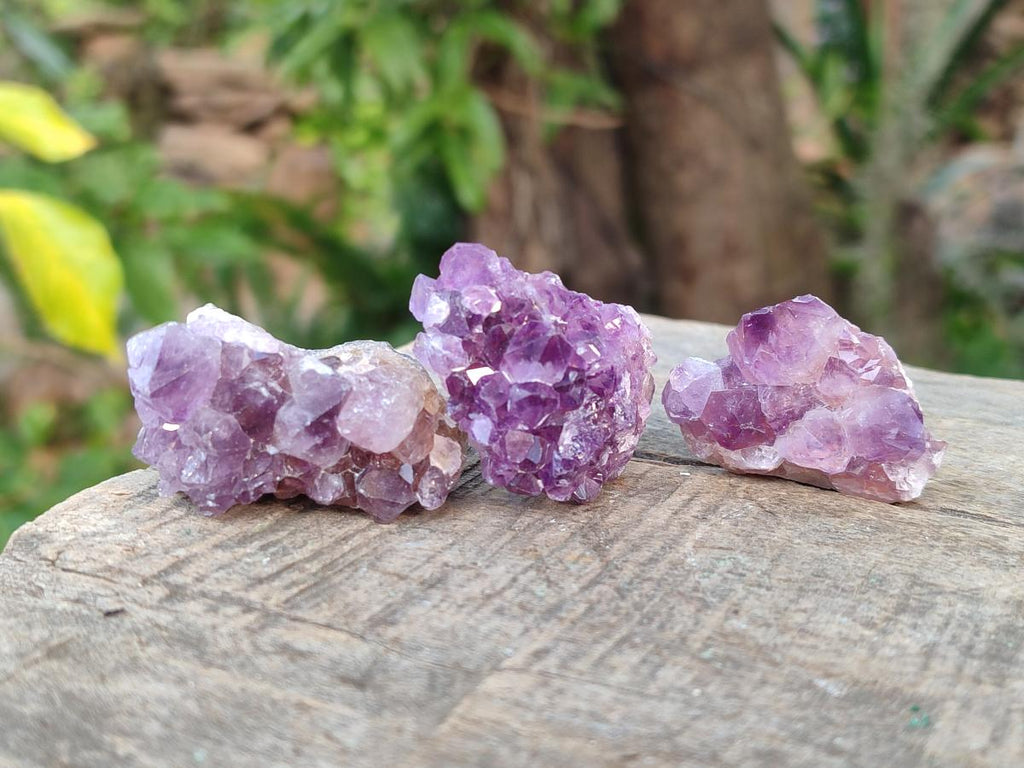 Natural Mini Amethyst Clusters x 70 From Madagascar - Toprock Gemstones and Minerals 
