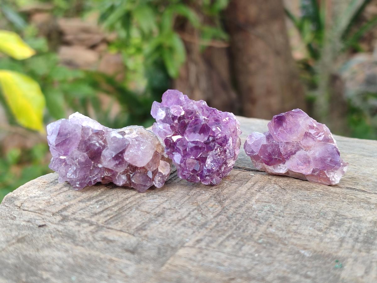 Natural Mini Amethyst Clusters x 70 From Madagascar - Toprock Gemstones and Minerals 