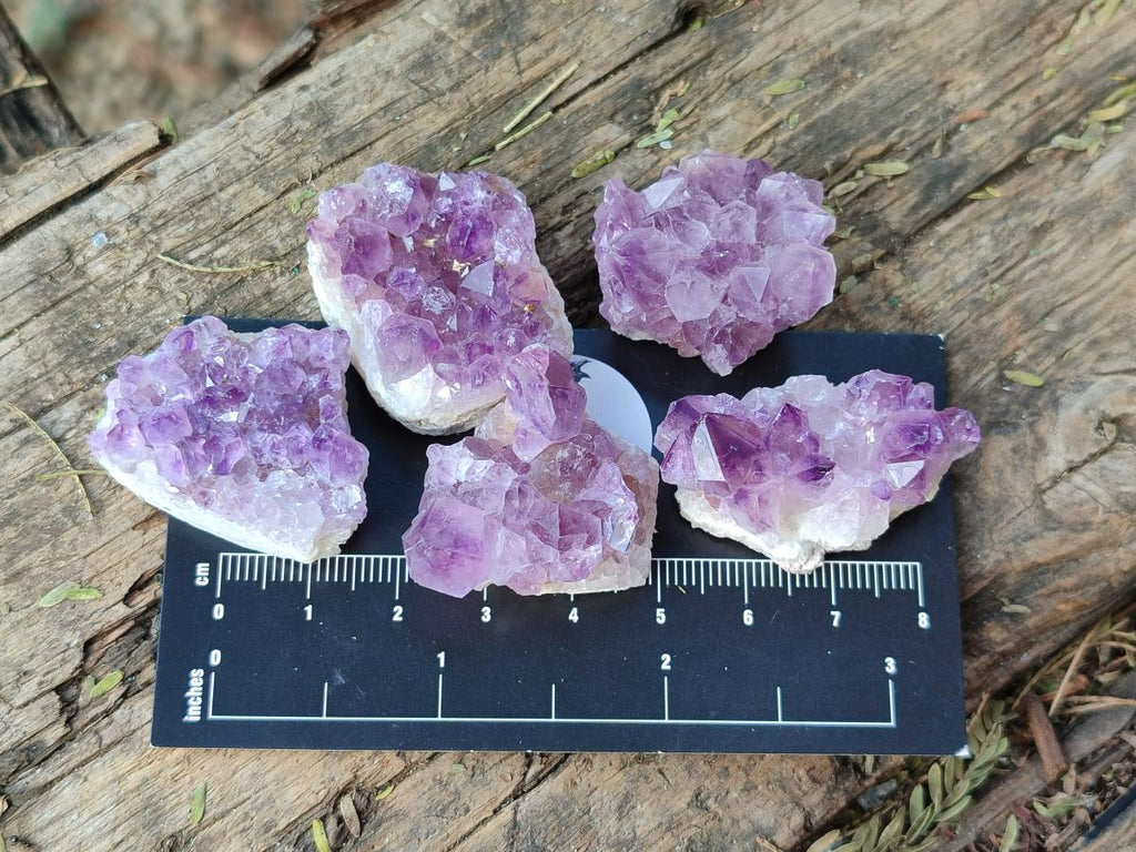 Natural Mini Amethyst Clusters x 70 From Madagascar - Toprock Gemstones and Minerals 