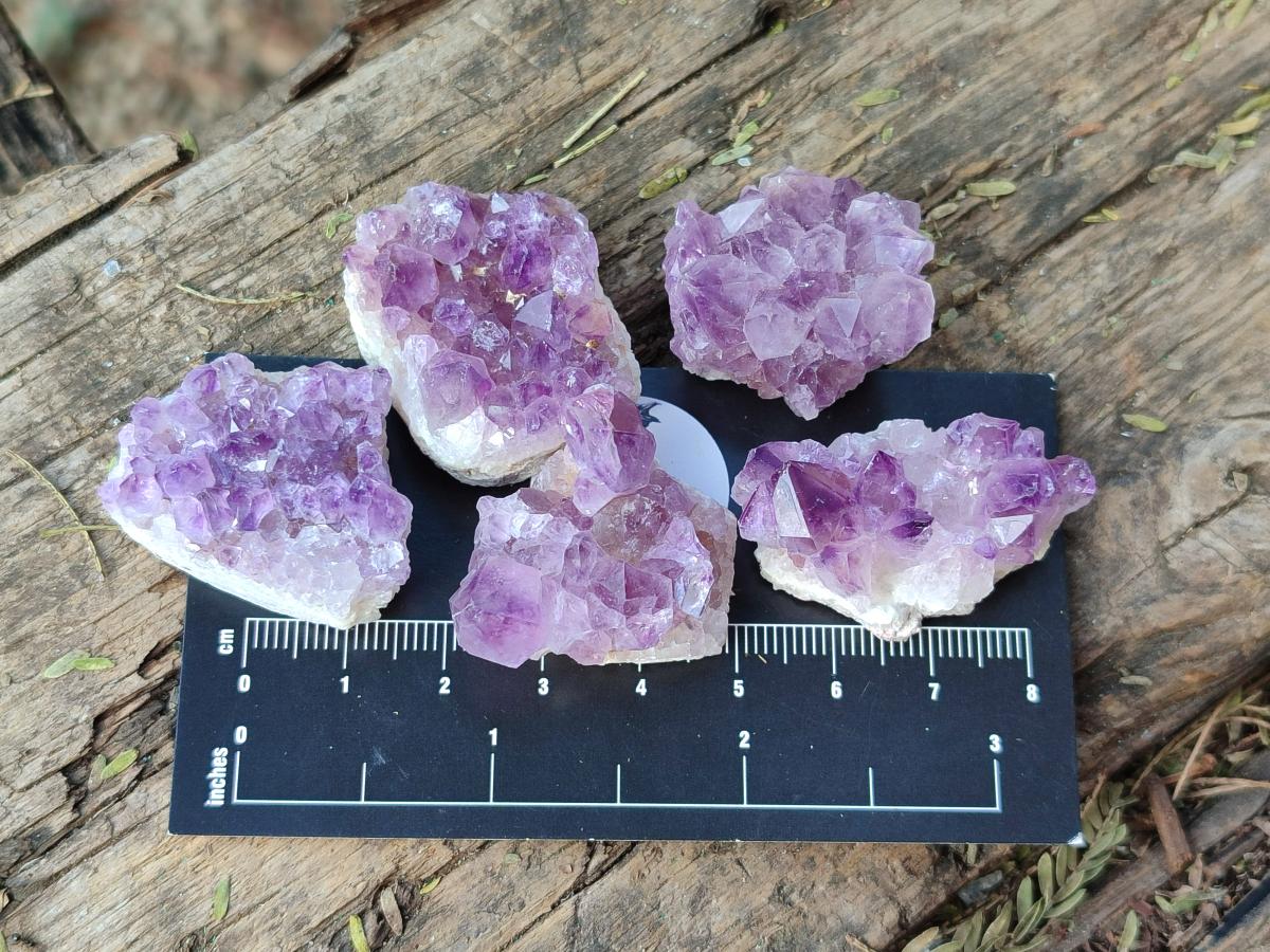 Natural Mini Amethyst Clusters x 70 From Madagascar - Toprock Gemstones and Minerals 