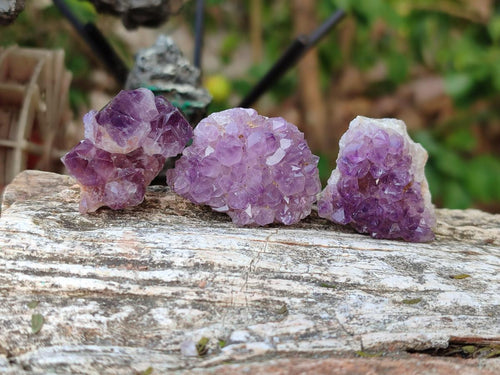 Natural Mini Amethyst Clusters x 70 From Madagascar - Toprock Gemstones and Minerals 