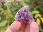 Natural Mini Amethyst Clusters x 70 From Madagascar - Toprock Gemstones and Minerals 