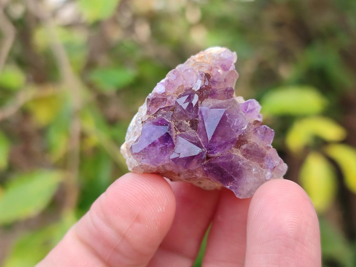 Natural Mini Amethyst Clusters x 70 From Madagascar - Toprock Gemstones and Minerals 