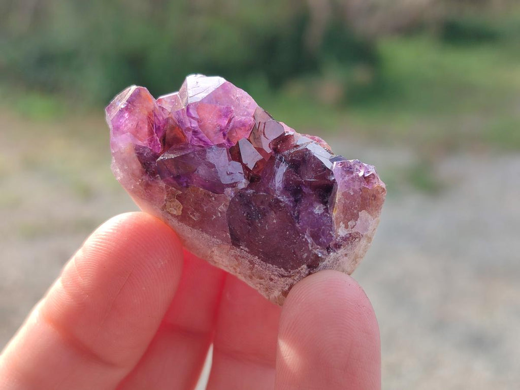 Natural Mini Amethyst Clusters x 70 From Madagascar - Toprock Gemstones and Minerals 