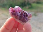 Natural Mini Amethyst Clusters x 70 From Madagascar - Toprock Gemstones and Minerals 