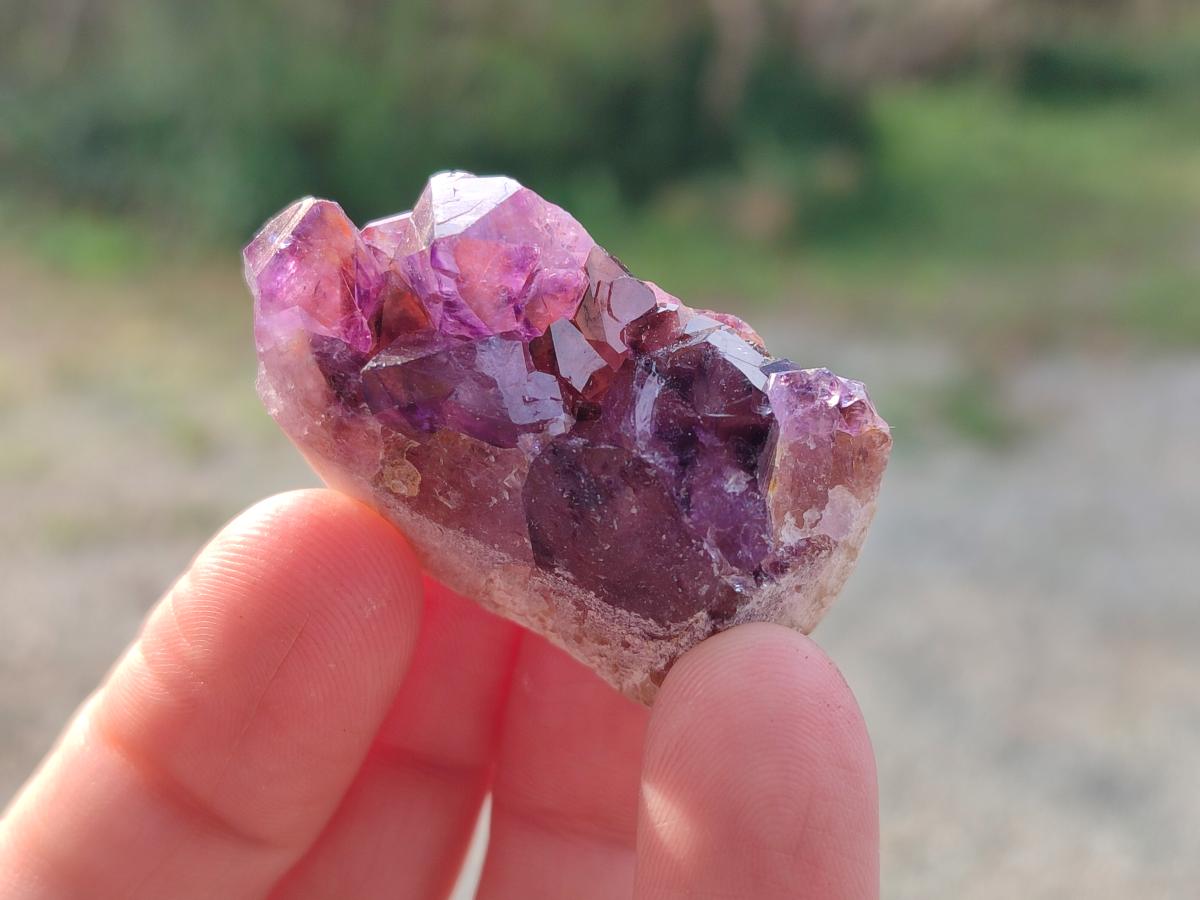 Natural Mini Amethyst Clusters x 70 From Madagascar - Toprock Gemstones and Minerals 